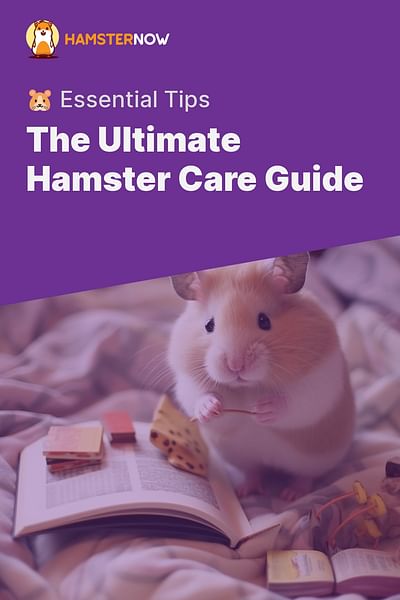 What is a comprehensive guide for hamster care for beginners?