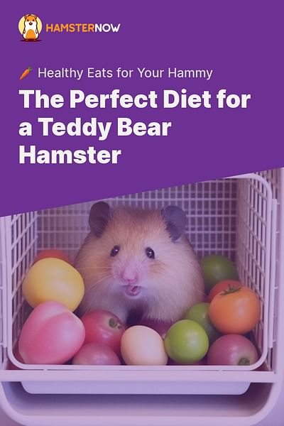 The Perfect Diet for a Teddy Bear Hamster - 🥕 Healthy Eats for Your Hammy