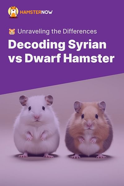 Decoding Syrian vs Dwarf Hamster - 🐹 Unraveling the Differences