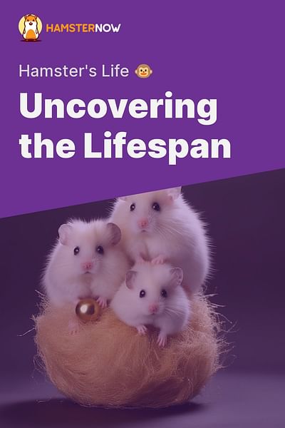 Uncovering the Lifespan - Hamster's Life 🐵