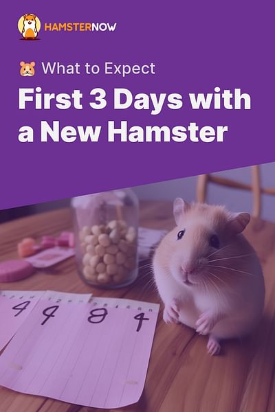 First 3 Days with a New Hamster - 🐹 What to Expect