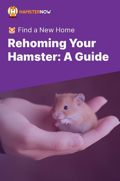 Rehoming Your Hamster: A Guide - 🐹 Find a New Home