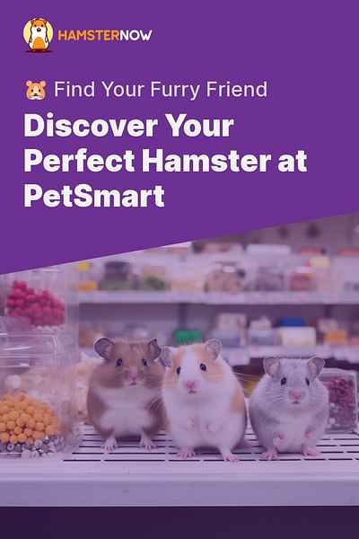 Discover Your Perfect Hamster at PetSmart - 🐹 Find Your Furry Friend