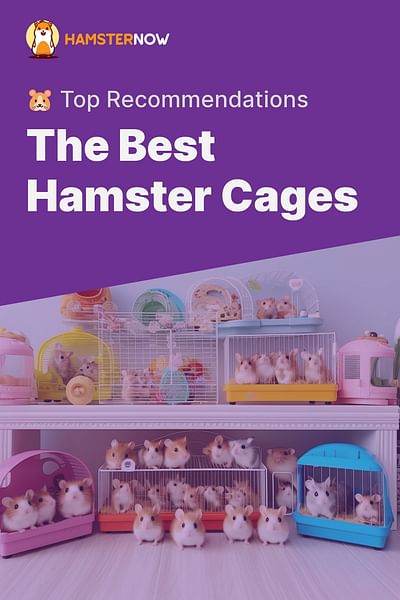 The Best Hamster Cages - 🐹 Top Recommendations
